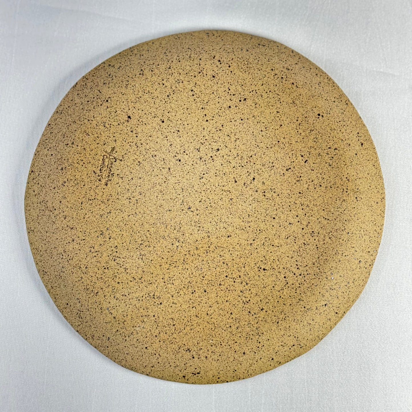 Placa Astral 26cm