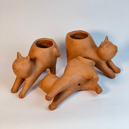 Vaso Gato Preguiça