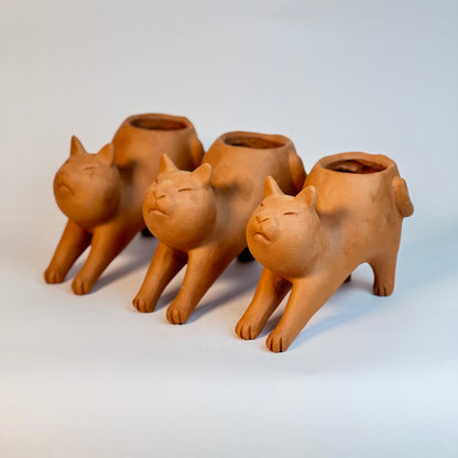 Vaso Gato Preguiça