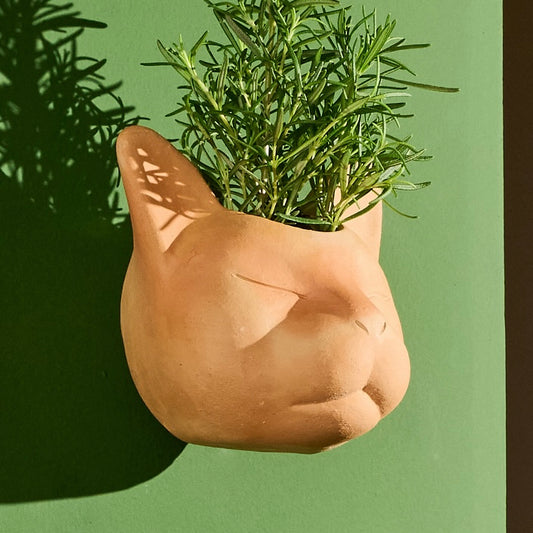 Vaso Felino Terracota Natural