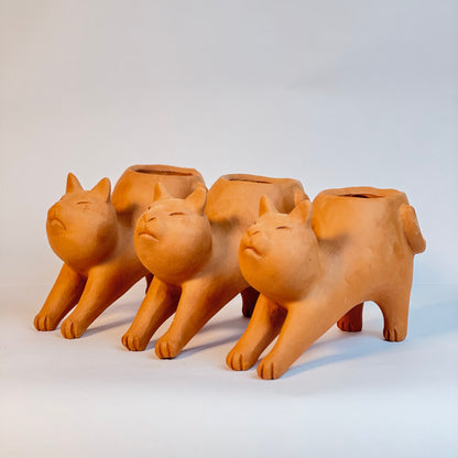 Vaso Gato Preguiça